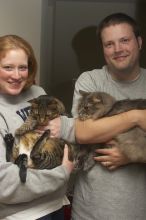 1020409145
Filename: SRM_20051224_230746_2.jpg
Aperture: f/8.0
Shutter Speed: 1/125
Body: Canon EOS 20D
Lens: Canon EF-S 18-55mm f/3.5-5.6