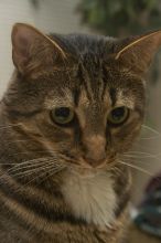 1020409145
Filename: SRM_20051224_234144_2.jpg
Aperture: f/8.0
Shutter Speed: 1/125
Body: Canon EOS 20D
Lens: Canon EF-S 18-55mm f/3.5-5.6