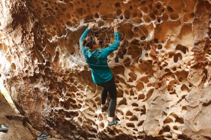 Bouldering in Hueco Tanks on 04/13/2019 with Blue Lizard Climbing and Yoga

Filename: SRM_20190413_1540110.jpg
Aperture: f/3.5
Shutter Speed: 1/100
Body: Canon EOS-1D Mark II
Lens: Canon EF 50mm f/1.8 II