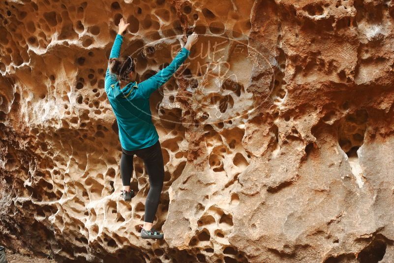 Bouldering in Hueco Tanks on 04/13/2019 with Blue Lizard Climbing and Yoga

Filename: SRM_20190413_1540170.jpg
Aperture: f/3.5
Shutter Speed: 1/80
Body: Canon EOS-1D Mark II
Lens: Canon EF 50mm f/1.8 II