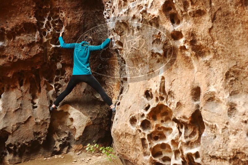 Bouldering in Hueco Tanks on 04/13/2019 with Blue Lizard Climbing and Yoga

Filename: SRM_20190413_1541280.jpg
Aperture: f/3.5
Shutter Speed: 1/100
Body: Canon EOS-1D Mark II
Lens: Canon EF 50mm f/1.8 II