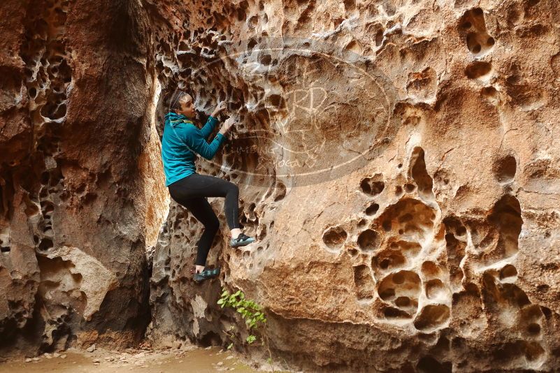 Bouldering in Hueco Tanks on 04/13/2019 with Blue Lizard Climbing and Yoga

Filename: SRM_20190413_1541560.jpg
Aperture: f/3.5
Shutter Speed: 1/125
Body: Canon EOS-1D Mark II
Lens: Canon EF 50mm f/1.8 II