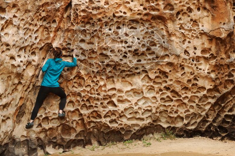 Bouldering in Hueco Tanks on 04/13/2019 with Blue Lizard Climbing and Yoga

Filename: SRM_20190413_1545120.jpg
Aperture: f/4.0
Shutter Speed: 1/200
Body: Canon EOS-1D Mark II
Lens: Canon EF 50mm f/1.8 II