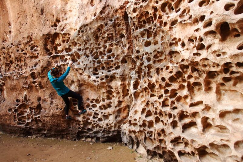 Bouldering in Hueco Tanks on 04/13/2019 with Blue Lizard Climbing and Yoga

Filename: SRM_20190413_1553370.jpg
Aperture: f/4.0
Shutter Speed: 1/100
Body: Canon EOS-1D Mark II
Lens: Canon EF 16-35mm f/2.8 L