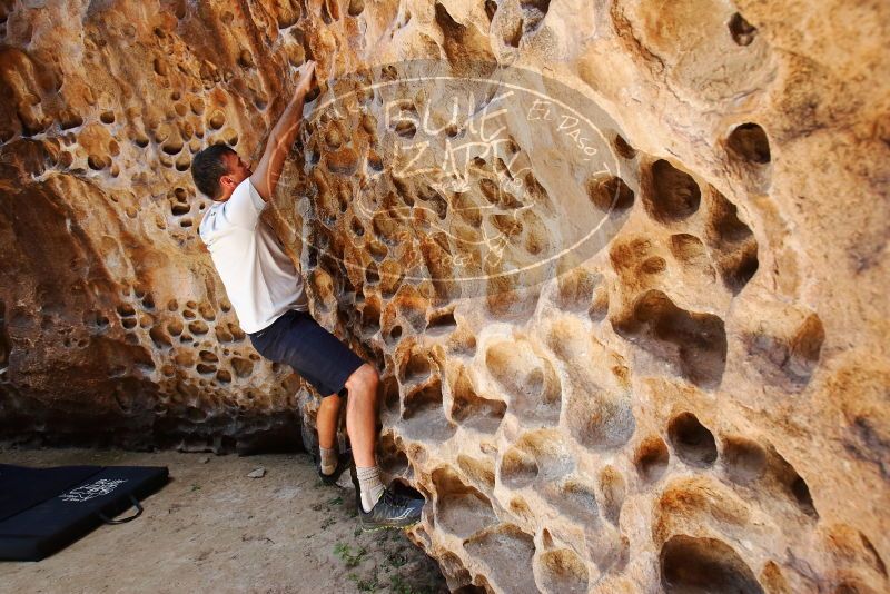 Bouldering in Hueco Tanks on 04/26/2019 with Blue Lizard Climbing and Yoga

Filename: SRM_20190426_1214430.jpg
Aperture: f/5.6
Shutter Speed: 1/200
Body: Canon EOS-1D Mark II
Lens: Canon EF 16-35mm f/2.8 L