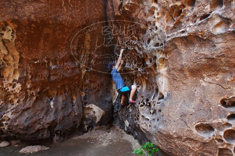 Bouldering in Hueco Tanks on 04/26/2019 with Blue Lizard Climbing and Yoga

Filename: SRM_20190426_1217360.jpg
Aperture: f/4.0
Shutter Speed: 1/160
Body: Canon EOS-1D Mark II
Lens: Canon EF 16-35mm f/2.8 L