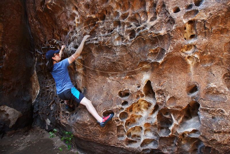 Bouldering in Hueco Tanks on 04/26/2019 with Blue Lizard Climbing and Yoga

Filename: SRM_20190426_1218070.jpg
Aperture: f/4.0
Shutter Speed: 1/200
Body: Canon EOS-1D Mark II
Lens: Canon EF 16-35mm f/2.8 L