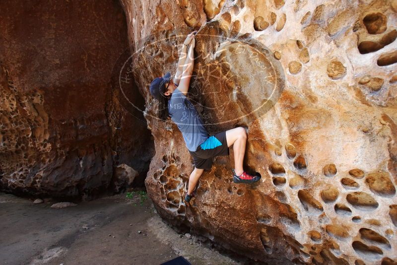 Bouldering in Hueco Tanks on 04/26/2019 with Blue Lizard Climbing and Yoga

Filename: SRM_20190426_1218470.jpg
Aperture: f/4.0
Shutter Speed: 1/160
Body: Canon EOS-1D Mark II
Lens: Canon EF 16-35mm f/2.8 L