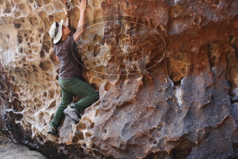 Bouldering in Hueco Tanks on 04/26/2019 with Blue Lizard Climbing and Yoga

Filename: SRM_20190426_1221210.jpg
Aperture: f/3.2
Shutter Speed: 1/160
Body: Canon EOS-1D Mark II
Lens: Canon EF 50mm f/1.8 II