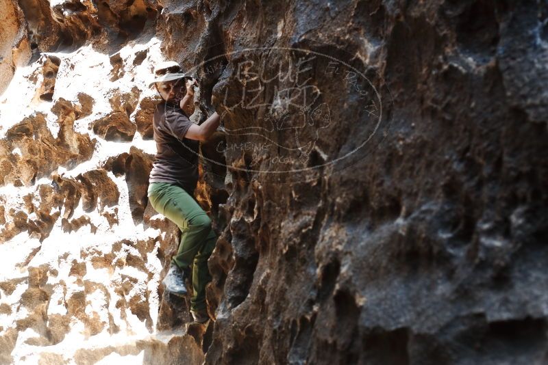 Bouldering in Hueco Tanks on 04/26/2019 with Blue Lizard Climbing and Yoga

Filename: SRM_20190426_1225110.jpg
Aperture: f/4.0
Shutter Speed: 1/125
Body: Canon EOS-1D Mark II
Lens: Canon EF 50mm f/1.8 II