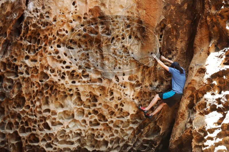 Bouldering in Hueco Tanks on 04/26/2019 with Blue Lizard Climbing and Yoga

Filename: SRM_20190426_1251010.jpg
Aperture: f/4.0
Shutter Speed: 1/320
Body: Canon EOS-1D Mark II
Lens: Canon EF 50mm f/1.8 II