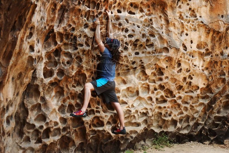 Bouldering in Hueco Tanks on 04/26/2019 with Blue Lizard Climbing and Yoga

Filename: SRM_20190426_1252070.jpg
Aperture: f/4.0
Shutter Speed: 1/250
Body: Canon EOS-1D Mark II
Lens: Canon EF 50mm f/1.8 II