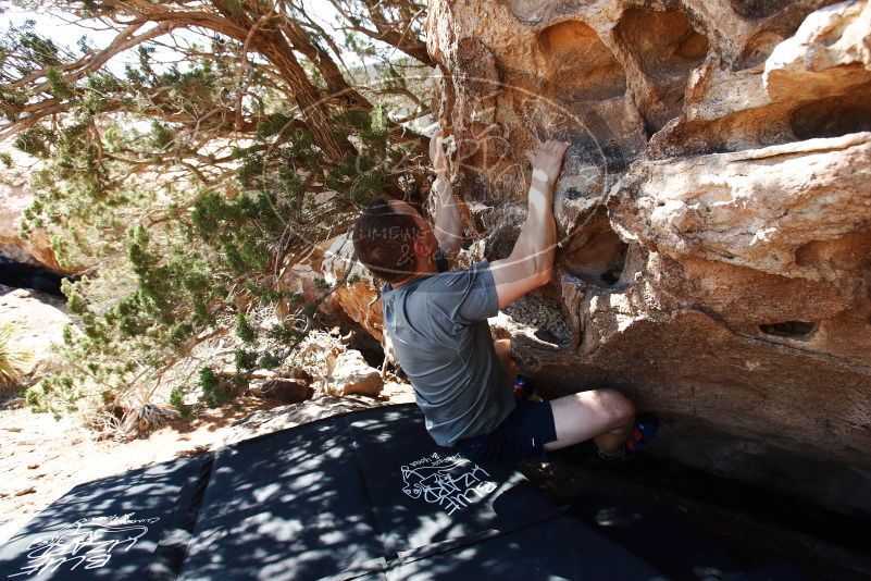 Bouldering in Hueco Tanks on 06/15/2019 with Blue Lizard Climbing and Yoga

Filename: SRM_20190615_0953350.jpg
Aperture: f/5.0
Shutter Speed: 1/320
Body: Canon EOS-1D Mark II
Lens: Canon EF 16-35mm f/2.8 L