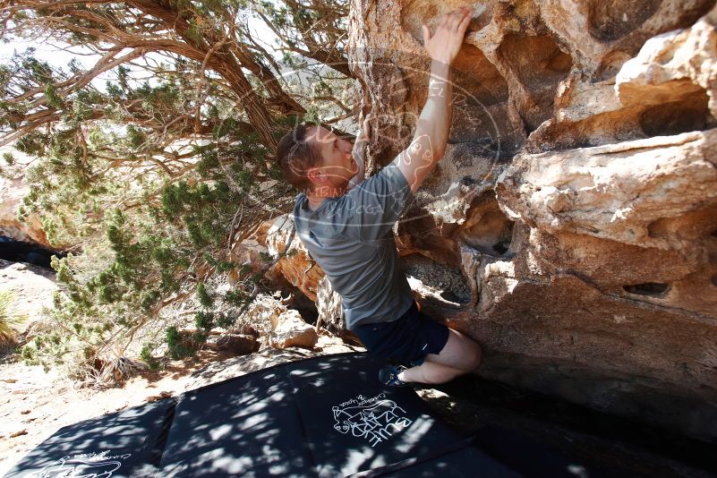 Bouldering in Hueco Tanks on 06/15/2019 with Blue Lizard Climbing and Yoga

Filename: SRM_20190615_0953380.jpg
Aperture: f/5.0
Shutter Speed: 1/320
Body: Canon EOS-1D Mark II
Lens: Canon EF 16-35mm f/2.8 L