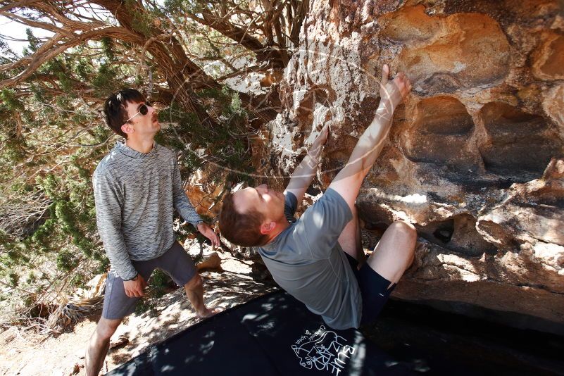 Bouldering in Hueco Tanks on 06/15/2019 with Blue Lizard Climbing and Yoga

Filename: SRM_20190615_0953540.jpg
Aperture: f/5.0
Shutter Speed: 1/320
Body: Canon EOS-1D Mark II
Lens: Canon EF 16-35mm f/2.8 L