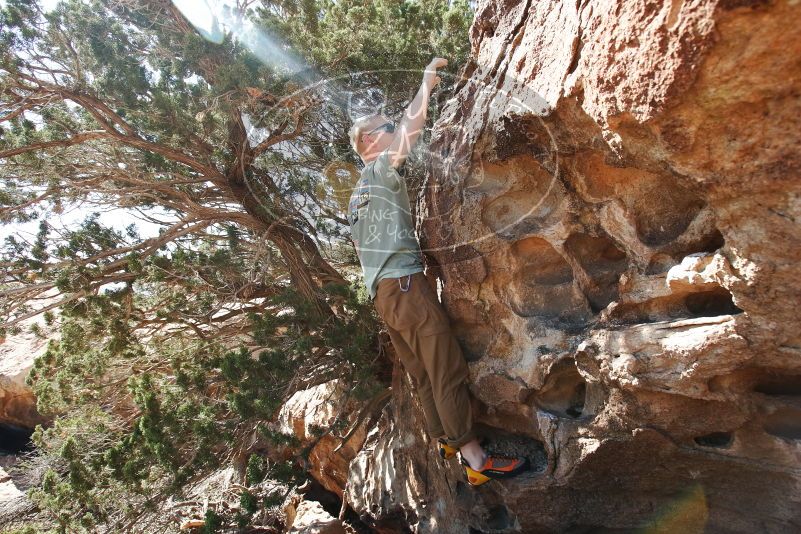 Bouldering in Hueco Tanks on 06/15/2019 with Blue Lizard Climbing and Yoga

Filename: SRM_20190615_0955590.jpg
Aperture: f/5.0
Shutter Speed: 1/500
Body: Canon EOS-1D Mark II
Lens: Canon EF 16-35mm f/2.8 L