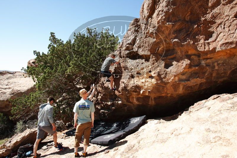 Bouldering in Hueco Tanks on 06/15/2019 with Blue Lizard Climbing and Yoga

Filename: SRM_20190615_1003550.jpg
Aperture: f/8.0
Shutter Speed: 1/400
Body: Canon EOS-1D Mark II
Lens: Canon EF 16-35mm f/2.8 L