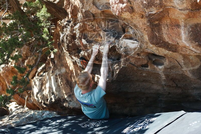 Bouldering in Hueco Tanks on 06/15/2019 with Blue Lizard Climbing and Yoga

Filename: SRM_20190615_1012430.jpg
Aperture: f/3.5
Shutter Speed: 1/400
Body: Canon EOS-1D Mark II
Lens: Canon EF 50mm f/1.8 II