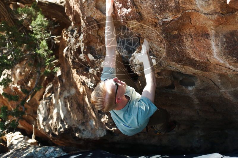 Bouldering in Hueco Tanks on 06/15/2019 with Blue Lizard Climbing and Yoga

Filename: SRM_20190615_1016260.jpg
Aperture: f/3.5
Shutter Speed: 1/400
Body: Canon EOS-1D Mark II
Lens: Canon EF 50mm f/1.8 II