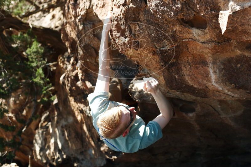Bouldering in Hueco Tanks on 06/15/2019 with Blue Lizard Climbing and Yoga

Filename: SRM_20190615_1016300.jpg
Aperture: f/3.5
Shutter Speed: 1/640
Body: Canon EOS-1D Mark II
Lens: Canon EF 50mm f/1.8 II