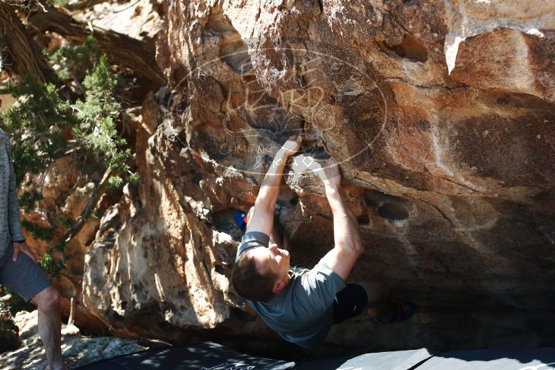Bouldering in Hueco Tanks on 06/15/2019 with Blue Lizard Climbing and Yoga

Filename: SRM_20190615_1030180.jpg
Aperture: f/4.0
Shutter Speed: 1/320
Body: Canon EOS-1D Mark II
Lens: Canon EF 50mm f/1.8 II