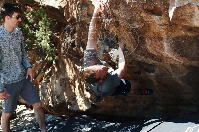 Bouldering in Hueco Tanks on 06/15/2019 with Blue Lizard Climbing and Yoga

Filename: SRM_20190615_1030430.jpg
Aperture: f/4.0
Shutter Speed: 1/400
Body: Canon EOS-1D Mark II
Lens: Canon EF 50mm f/1.8 II