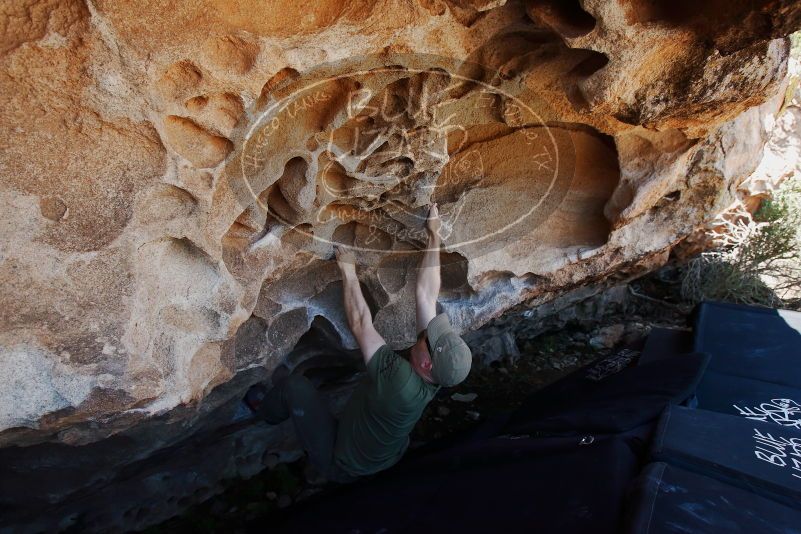 Bouldering in Hueco Tanks on 06/15/2019 with Blue Lizard Climbing and Yoga

Filename: SRM_20190615_1056050.jpg
Aperture: f/5.6
Shutter Speed: 1/320
Body: Canon EOS-1D Mark II
Lens: Canon EF 16-35mm f/2.8 L