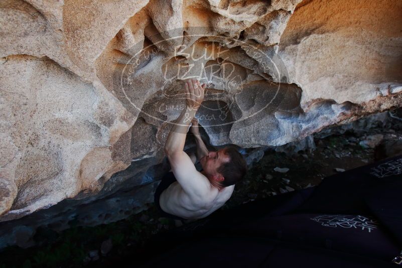 Bouldering in Hueco Tanks on 06/15/2019 with Blue Lizard Climbing and Yoga

Filename: SRM_20190615_1100060.jpg
Aperture: f/5.6
Shutter Speed: 1/250
Body: Canon EOS-1D Mark II
Lens: Canon EF 16-35mm f/2.8 L