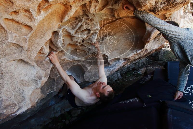 Bouldering in Hueco Tanks on 06/15/2019 with Blue Lizard Climbing and Yoga

Filename: SRM_20190615_1100490.jpg
Aperture: f/5.6
Shutter Speed: 1/250
Body: Canon EOS-1D Mark II
Lens: Canon EF 16-35mm f/2.8 L