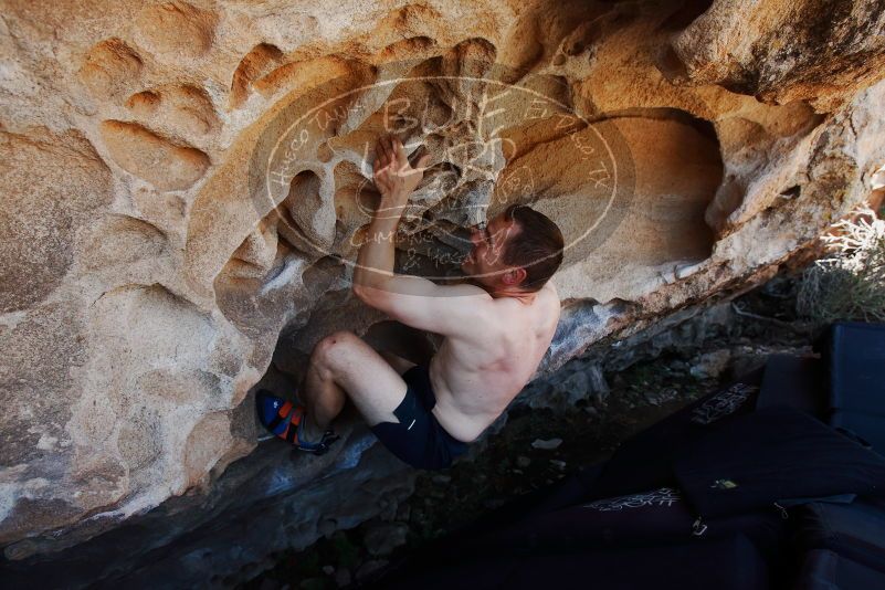 Bouldering in Hueco Tanks on 06/15/2019 with Blue Lizard Climbing and Yoga

Filename: SRM_20190615_1101000.jpg
Aperture: f/5.6
Shutter Speed: 1/320
Body: Canon EOS-1D Mark II
Lens: Canon EF 16-35mm f/2.8 L