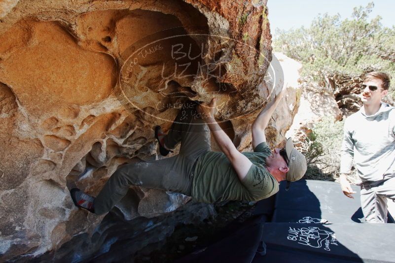 Bouldering in Hueco Tanks on 06/15/2019 with Blue Lizard Climbing and Yoga

Filename: SRM_20190615_1111320.jpg
Aperture: f/5.6
Shutter Speed: 1/640
Body: Canon EOS-1D Mark II
Lens: Canon EF 16-35mm f/2.8 L