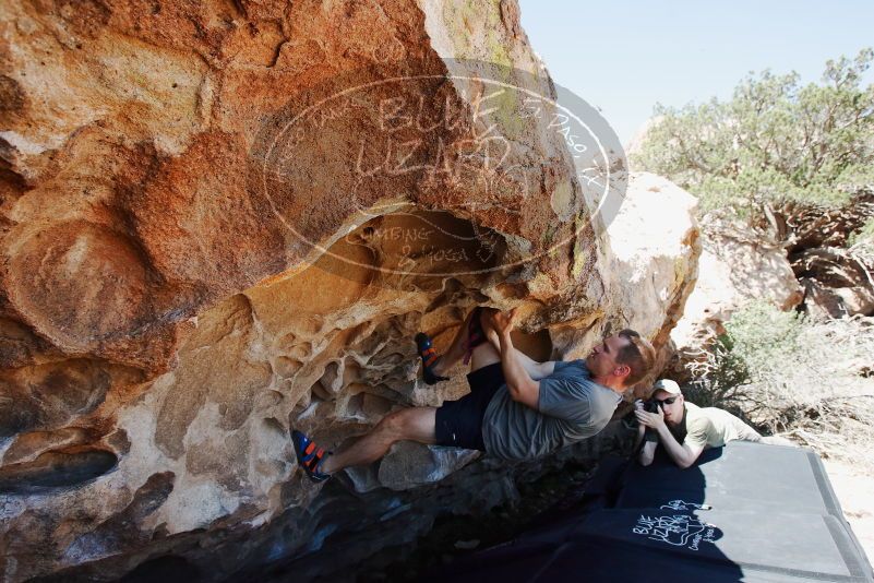 Bouldering in Hueco Tanks on 06/15/2019 with Blue Lizard Climbing and Yoga

Filename: SRM_20190615_1118490.jpg
Aperture: f/5.6
Shutter Speed: 1/800
Body: Canon EOS-1D Mark II
Lens: Canon EF 16-35mm f/2.8 L