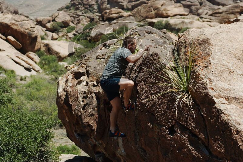 Bouldering in Hueco Tanks on 06/15/2019 with Blue Lizard Climbing and Yoga

Filename: SRM_20190615_1405430.jpg
Aperture: f/4.0
Shutter Speed: 1/1250
Body: Canon EOS-1D Mark II
Lens: Canon EF 50mm f/1.8 II