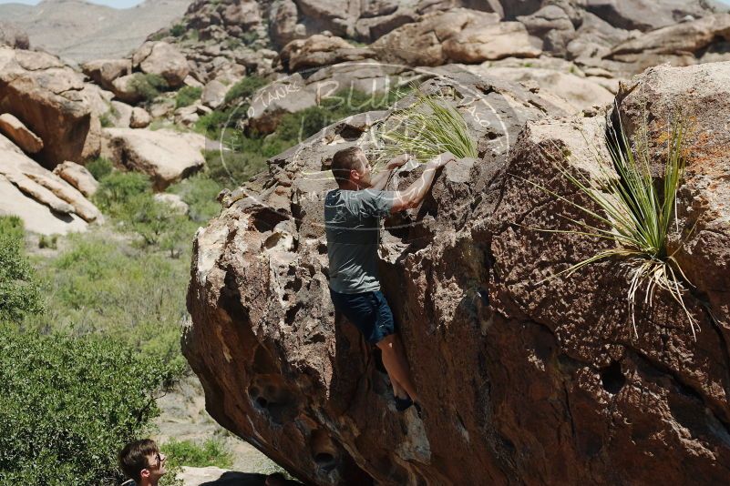 Bouldering in Hueco Tanks on 06/15/2019 with Blue Lizard Climbing and Yoga

Filename: SRM_20190615_1408330.jpg
Aperture: f/4.0
Shutter Speed: 1/1000
Body: Canon EOS-1D Mark II
Lens: Canon EF 50mm f/1.8 II