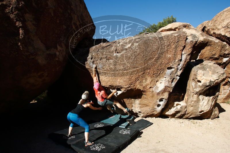 Bouldering in Hueco Tanks on 06/23/2019 with Blue Lizard Climbing and Yoga

Filename: SRM_20190623_0819370.jpg
Aperture: f/5.6
Shutter Speed: 1/320
Body: Canon EOS-1D Mark II
Lens: Canon EF 16-35mm f/2.8 L