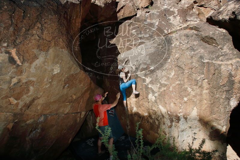 Bouldering in Hueco Tanks on 06/23/2019 with Blue Lizard Climbing and Yoga

Filename: SRM_20190623_1005550.jpg
Aperture: f/8.0
Shutter Speed: 1/250
Body: Canon EOS-1D Mark II
Lens: Canon EF 16-35mm f/2.8 L