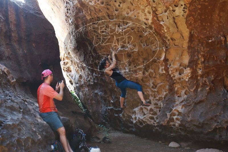 Bouldering in Hueco Tanks on 06/23/2019 with Blue Lizard Climbing and Yoga

Filename: SRM_20190623_1258210.jpg
Aperture: f/4.0
Shutter Speed: 1/100
Body: Canon EOS-1D Mark II
Lens: Canon EF 50mm f/1.8 II