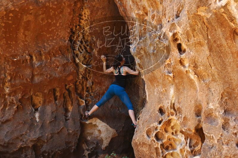 Bouldering in Hueco Tanks on 06/23/2019 with Blue Lizard Climbing and Yoga

Filename: SRM_20190623_1259400.jpg
Aperture: f/4.0
Shutter Speed: 1/80
Body: Canon EOS-1D Mark II
Lens: Canon EF 50mm f/1.8 II
