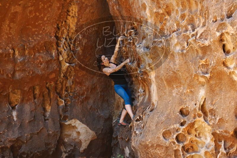 Bouldering in Hueco Tanks on 06/23/2019 with Blue Lizard Climbing and Yoga

Filename: SRM_20190623_1259540.jpg
Aperture: f/4.0
Shutter Speed: 1/80
Body: Canon EOS-1D Mark II
Lens: Canon EF 50mm f/1.8 II