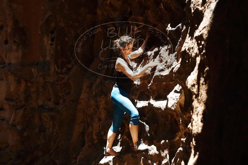 Bouldering in Hueco Tanks on 06/23/2019 with Blue Lizard Climbing and Yoga

Filename: SRM_20190623_1304100.jpg
Aperture: f/4.0
Shutter Speed: 1/400
Body: Canon EOS-1D Mark II
Lens: Canon EF 50mm f/1.8 II