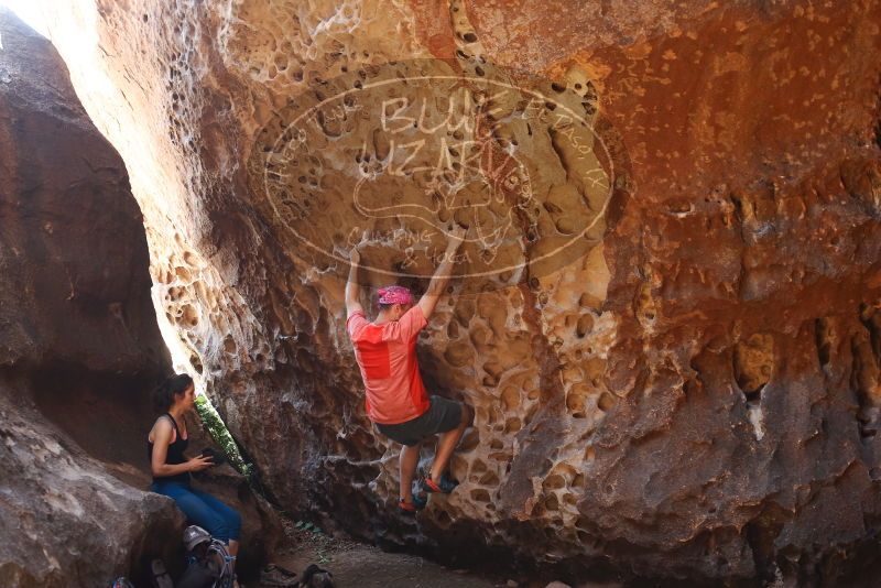 Bouldering in Hueco Tanks on 06/23/2019 with Blue Lizard Climbing and Yoga

Filename: SRM_20190623_1307470.jpg
Aperture: f/4.0
Shutter Speed: 1/60
Body: Canon EOS-1D Mark II
Lens: Canon EF 50mm f/1.8 II