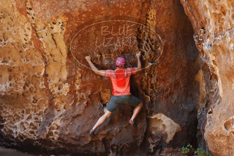 Bouldering in Hueco Tanks on 06/23/2019 with Blue Lizard Climbing and Yoga

Filename: SRM_20190623_1308410.jpg
Aperture: f/3.2
Shutter Speed: 1/100
Body: Canon EOS-1D Mark II
Lens: Canon EF 50mm f/1.8 II