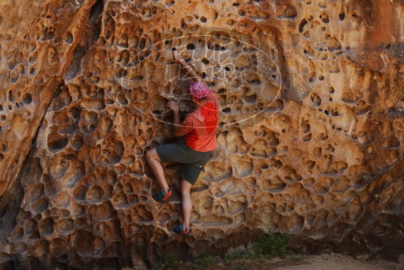 Bouldering in Hueco Tanks on 06/23/2019 with Blue Lizard Climbing and Yoga

Filename: SRM_20190623_1311480.jpg
Aperture: f/4.0
Shutter Speed: 1/200
Body: Canon EOS-1D Mark II
Lens: Canon EF 50mm f/1.8 II