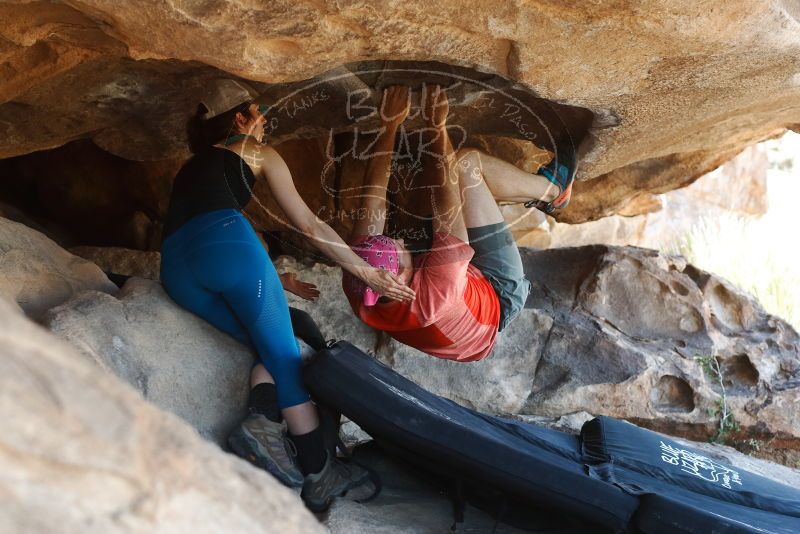 Bouldering in Hueco Tanks on 06/23/2019 with Blue Lizard Climbing and Yoga

Filename: SRM_20190623_1454460.jpg
Aperture: f/4.0
Shutter Speed: 1/250
Body: Canon EOS-1D Mark II
Lens: Canon EF 50mm f/1.8 II