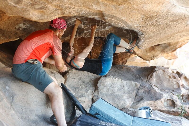 Bouldering in Hueco Tanks on 06/23/2019 with Blue Lizard Climbing and Yoga

Filename: SRM_20190623_1511440.jpg
Aperture: f/4.0
Shutter Speed: 1/160
Body: Canon EOS-1D Mark II
Lens: Canon EF 50mm f/1.8 II