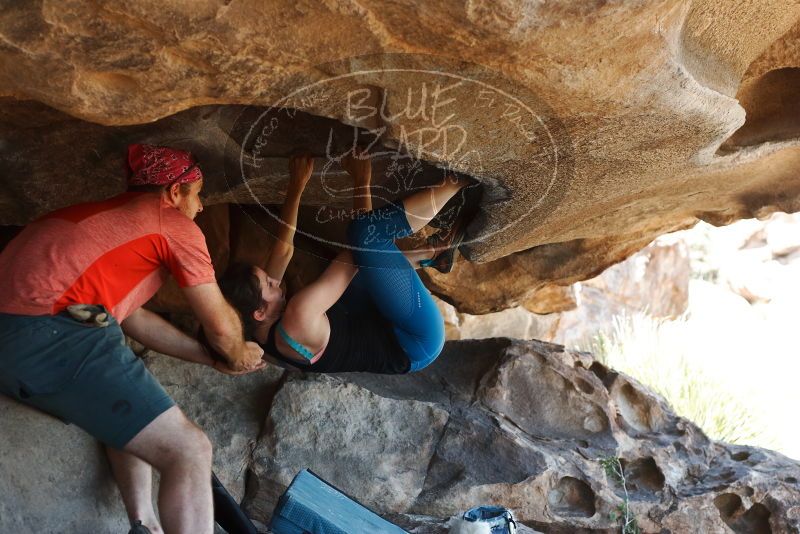 Bouldering in Hueco Tanks on 06/23/2019 with Blue Lizard Climbing and Yoga

Filename: SRM_20190623_1512070.jpg
Aperture: f/4.0
Shutter Speed: 1/320
Body: Canon EOS-1D Mark II
Lens: Canon EF 50mm f/1.8 II