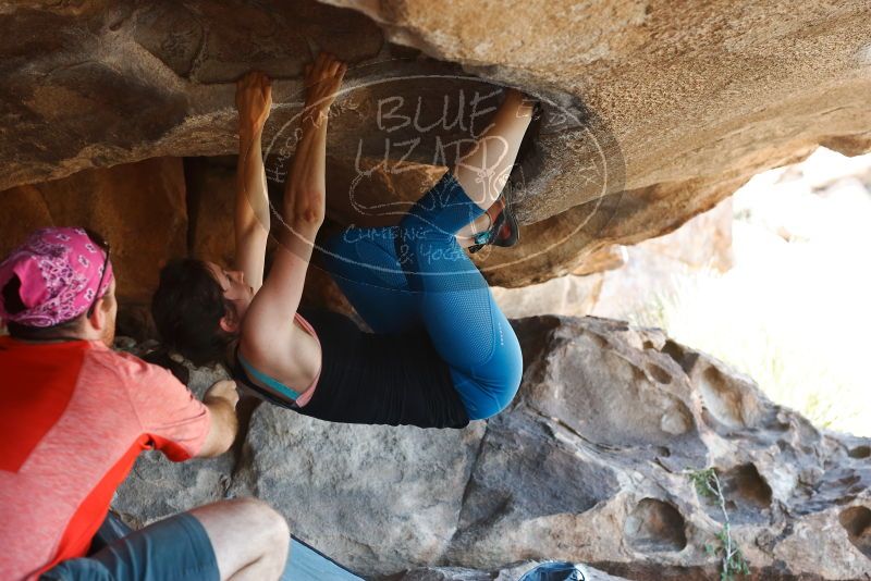 Bouldering in Hueco Tanks on 06/23/2019 with Blue Lizard Climbing and Yoga

Filename: SRM_20190623_1515040.jpg
Aperture: f/4.0
Shutter Speed: 1/250
Body: Canon EOS-1D Mark II
Lens: Canon EF 50mm f/1.8 II