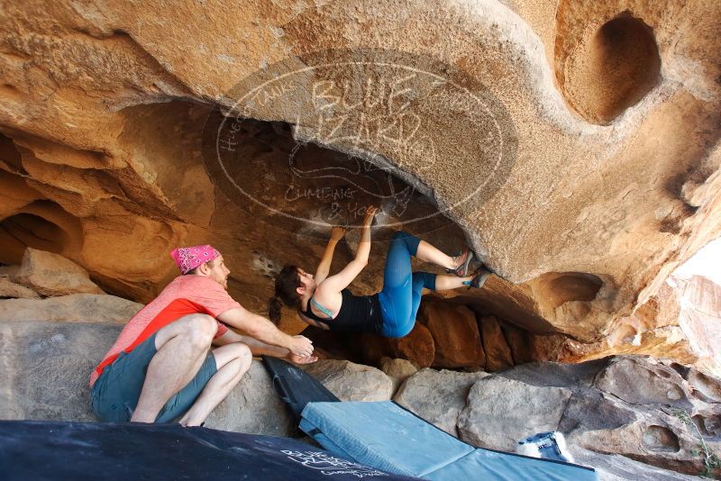 Bouldering in Hueco Tanks on 06/23/2019 with Blue Lizard Climbing and Yoga

Filename: SRM_20190623_1525050.jpg
Aperture: f/5.0
Shutter Speed: 1/160
Body: Canon EOS-1D Mark II
Lens: Canon EF 16-35mm f/2.8 L