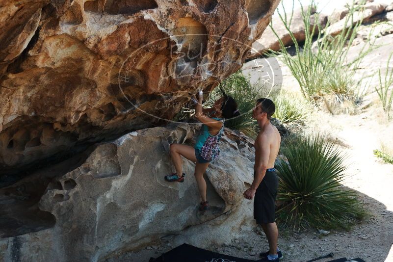 Bouldering in Hueco Tanks on 06/28/2019 with Blue Lizard Climbing and Yoga

Filename: SRM_20190628_1117100.jpg
Aperture: f/4.0
Shutter Speed: 1/400
Body: Canon EOS-1D Mark II
Lens: Canon EF 50mm f/1.8 II