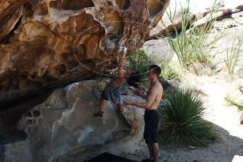 Bouldering in Hueco Tanks on 06/28/2019 with Blue Lizard Climbing and Yoga

Filename: SRM_20190628_1117220.jpg
Aperture: f/4.0
Shutter Speed: 1/400
Body: Canon EOS-1D Mark II
Lens: Canon EF 50mm f/1.8 II